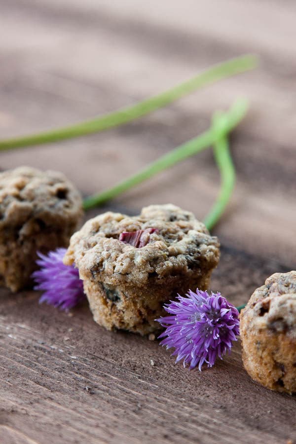 Tart rhubarb pairs with creamy banana in these moist and tasty mini muffins! 