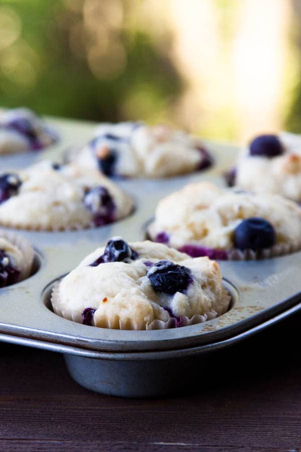 Gluten-Free Lemon Blueberry Ricotta Muffins have pockets of bursty sweet blueberries enclosed in a moist, lemony fresh muffin.