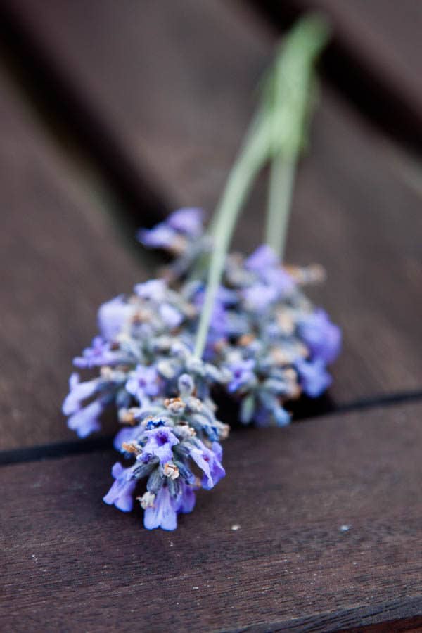 The lavender in this Apricot Lavender Jam adds a faint floral note - an unexpected and delightful addition. Recipe yields 2 half-pint jars.