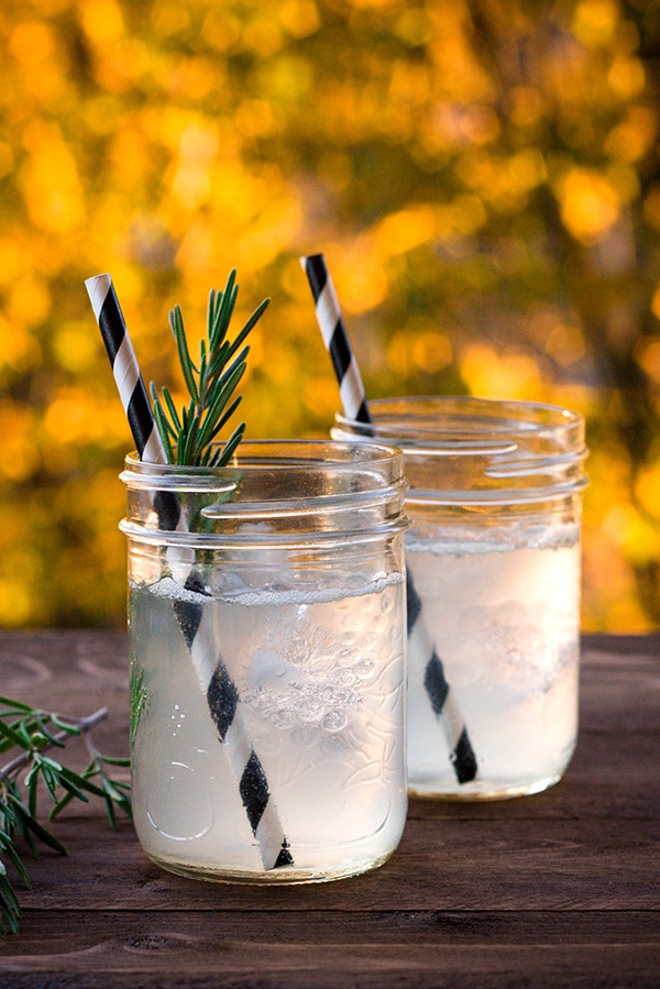  Rosemary Gin Spritzer cocktail | Breakfast for Dinner